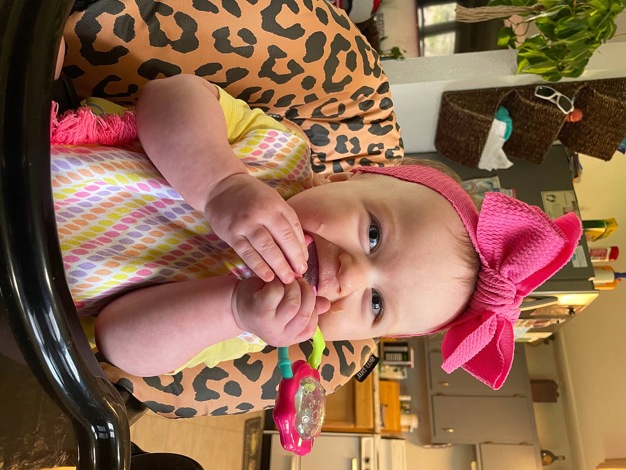 Kamryn is registered to the contest to win money with this photo: baby, baby_toddler_clothing, cheek, child, facial_expression, fun, happy, human_body, mouth, pattern, person, photograph, pink, plant, product, skin, smile, snapshot, toddler, wood