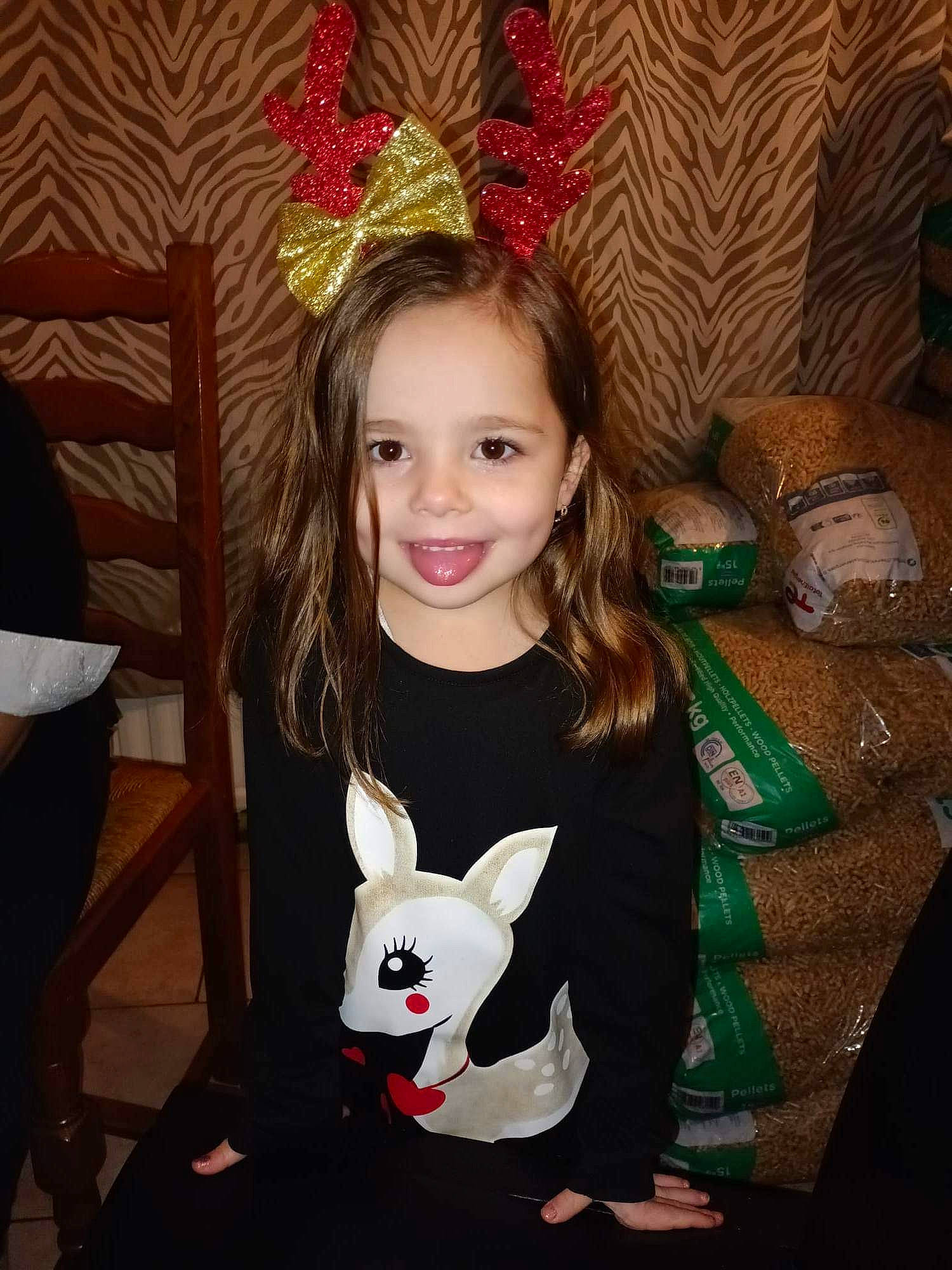 Alessia participe au concours pour gagner de l'argent avec cette photo : chair, child, companion_dog, event, eye, fashion_accessory, fawn, flash_photography, fun, hair, happy, headpiece, holiday, human_body, iris, jewellery, joy, long_hair, person, skin