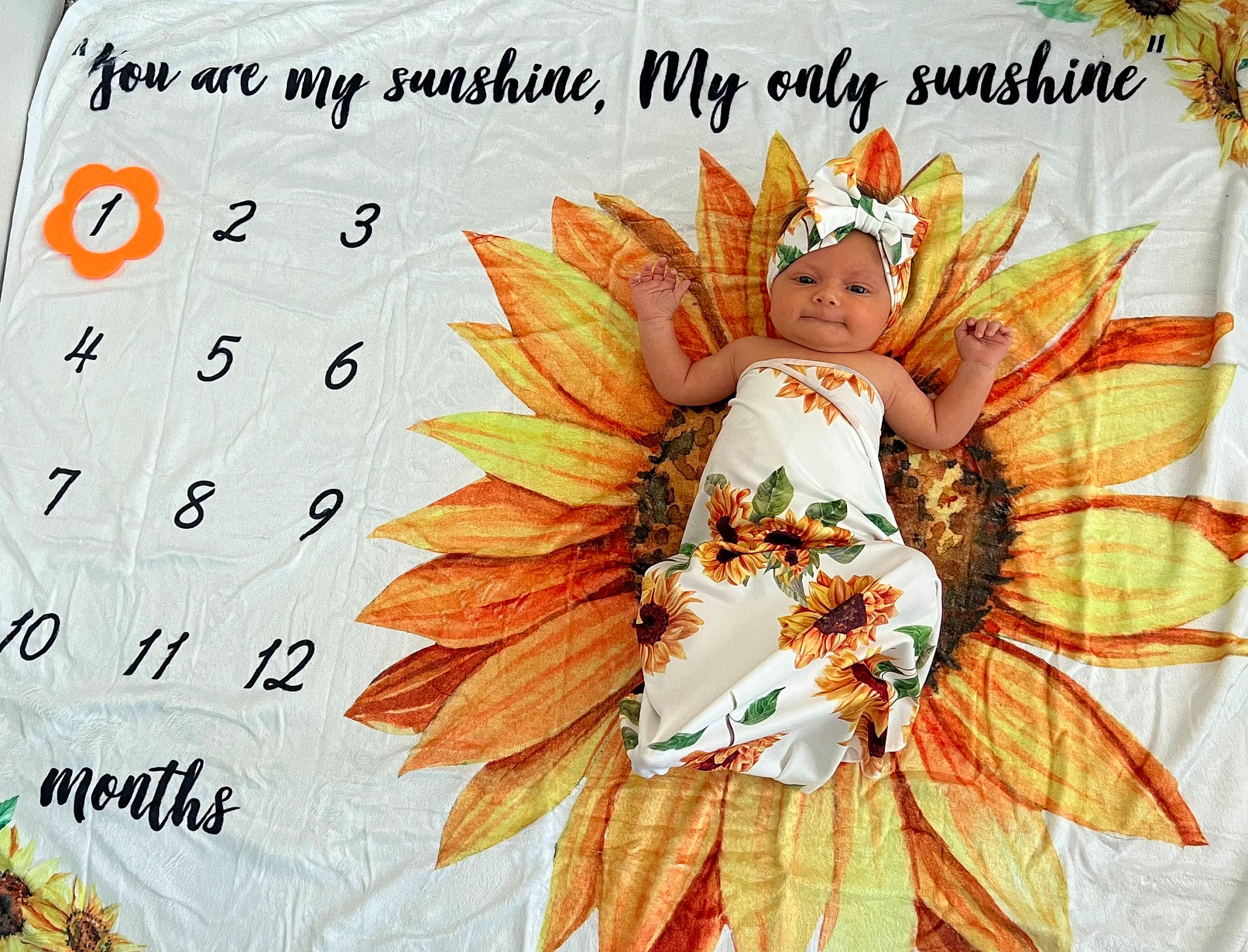 Jewels joined the competition — help win amazing prizes! angel, art, costume_hat, fashion_accessory, fictional_character, flowering_plant, font, graphics, happy, headpiece, headwear, illustration, moths_and_butterflies, mythical_creature, paper_product, pattern, person, petal, plant, supernatural_creature