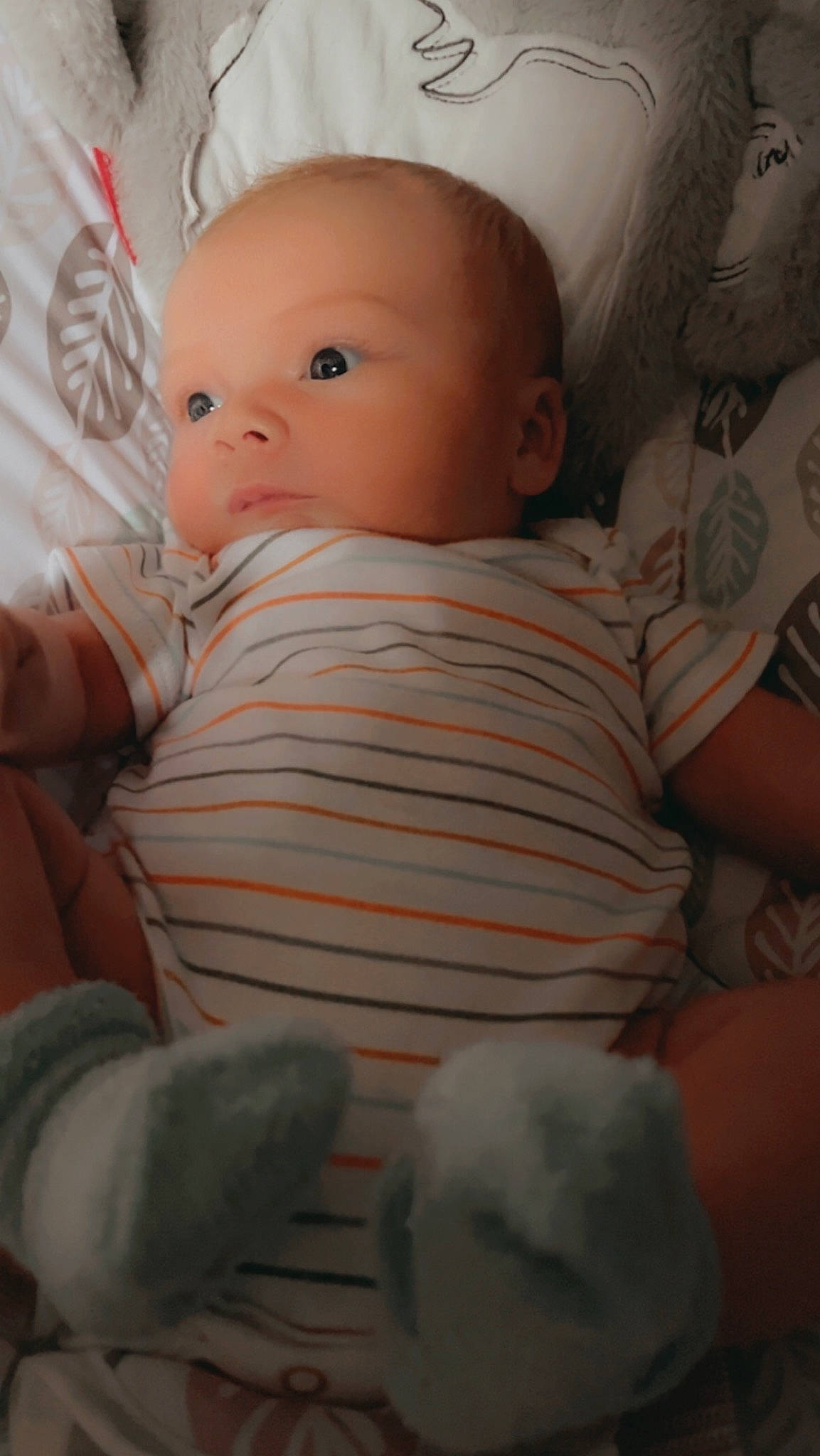 Legend is registered to the contest to win money with this photo: abdomen, baby, baby_products, baby_sleeping, baby_toddler_clothing, bedtime, cheek, child, comfort, eye, eyebrow, head, iris, linens, lip, nose, person, room, skin, stomach