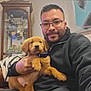 Ollie joined the competition — help win amazing prizes! black_hoodie, cabinet, casual_clothing, cozy, cute, dog, furniture, glasses, golden_retriever, hand_holding, home, indoor, man, painting, pet, portrait, puppy, relaxed, seated, smile
