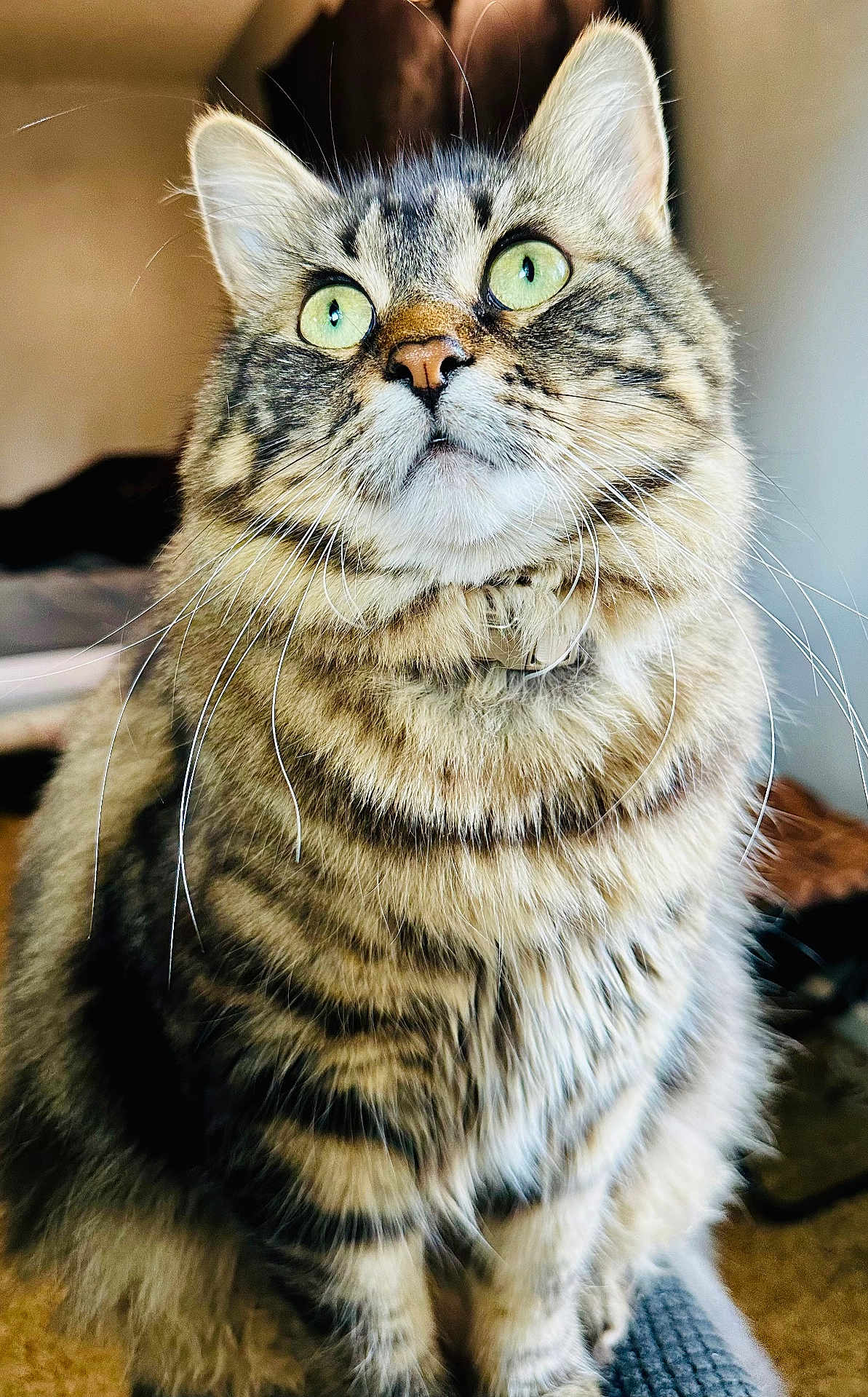 Salem