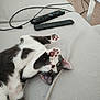 Oumi participe au concours pour gagner de l'argent avec cette photo : cat, black_and_white, paws, couch, remote_control, cable, indoor, pet, playful, relaxed, fur, whiskers, ears, nose, eyes, home, carpet, table, upside_down, cute