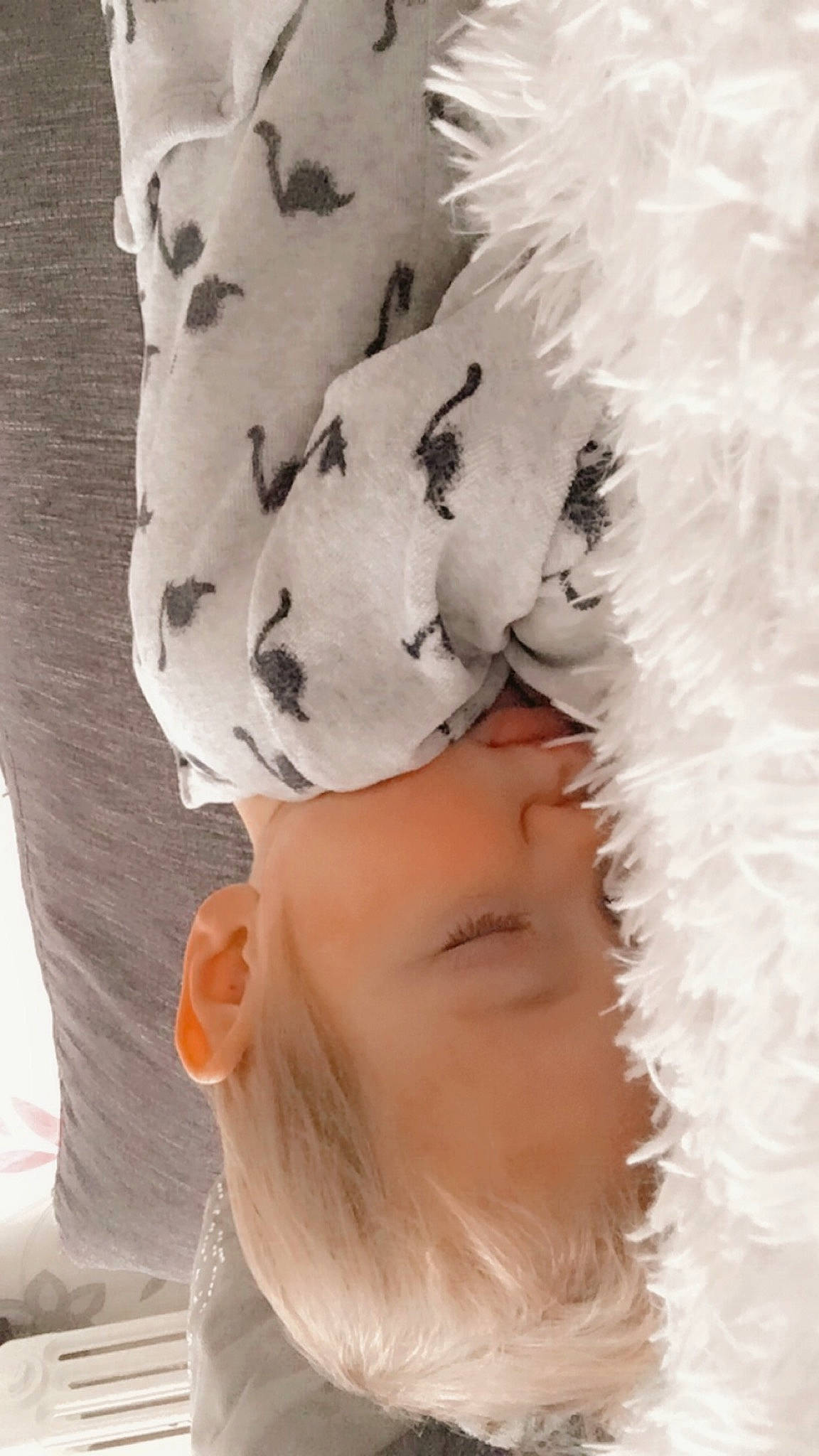 Juliano a rejoint le concours — aidez-le/la à gagner de superbes lots ! animal_product, art, bridal_accessory, cap, child, eyelash, fashion_accessory, fashion_design, feather, freezing, fur, fur_clothing, hair_accessory, happy, headgear, headpiece, linens, pattern, person, textile