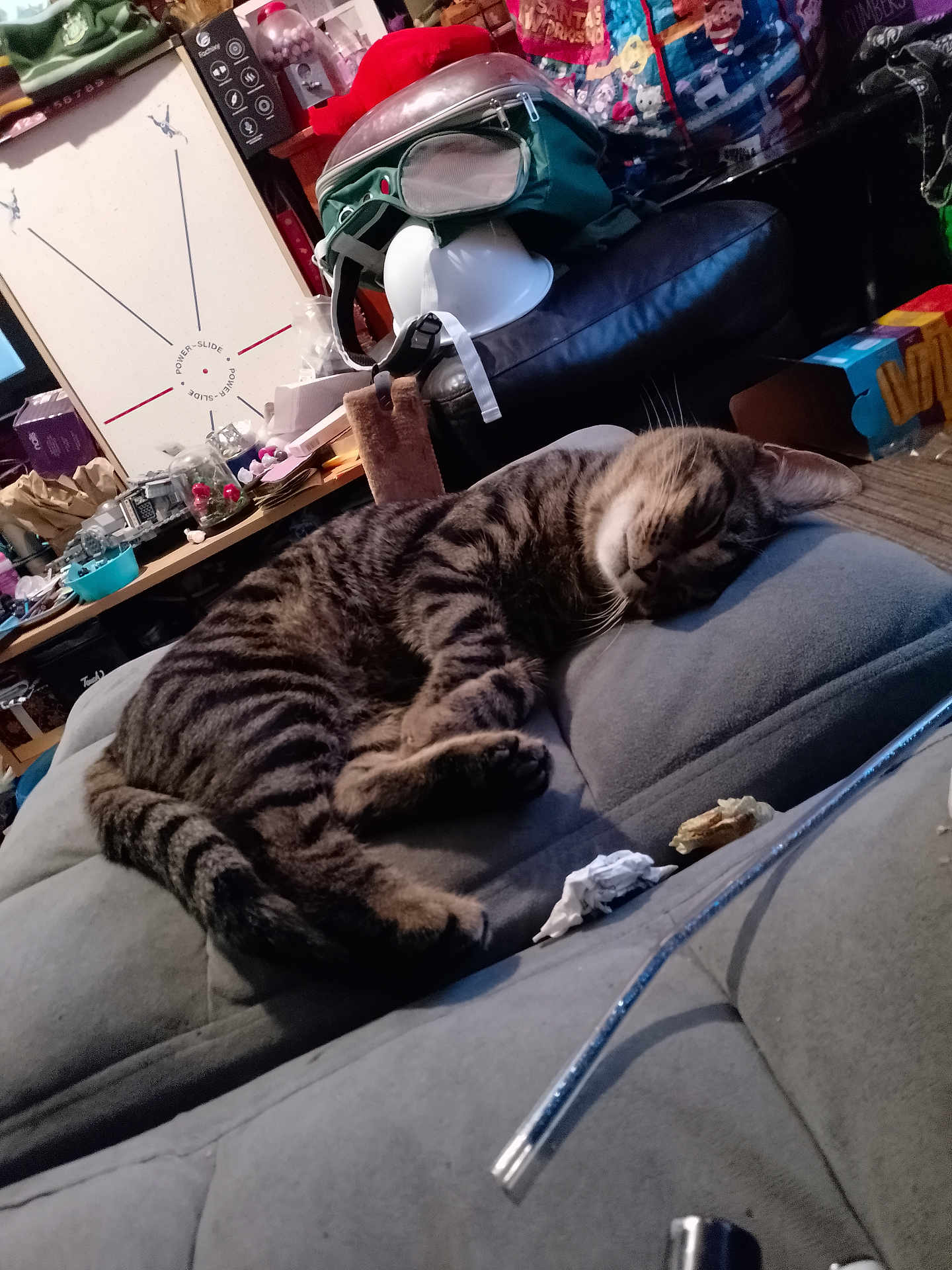 Mouse joined the competition — help win amazing prizes! cat, tabby, sleeping, couch, indoor, cozy, pet, feline, striped, relaxed, household, clutter, furniture, blanket, soft, resting, domestic, animal, tabby_cat, napping