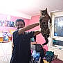 Mouse is registered to the contest to win money with this photo: person, cat, indoor, pink_wall, balloons, furniture, window, clothing, smiling, holding, tabby_cat, chair, pile_of_clothes, radiator, table, poster, happy, living_room, hand, decorations