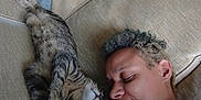 Mouse is registered to the contest to win money with this photo: cat, person, couch, pillow, tabby_cat, relaxing, indoor, sleeping, furniture, curly_hair, toy, beige, comfort, nap, resting, cozy, casual, human, animal, side_by_side