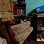 Narcissa joined the competition — help win amazing prizes! cat, armchair, furniture, indoor, bookshelf, books, decoration, shark_head, cushion, pattern, carpet, wall, black_and_white_cat, pet, relaxing, home, room, sitting, dim_lighting, wooden_armrest