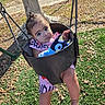 baby, child, toddler, swing, playground, stuffed_toy, outdoor, park, sitting, face, eyes, hair, smiling, clothing, pink_outfit, tree, leaves, grass, fence, daylight