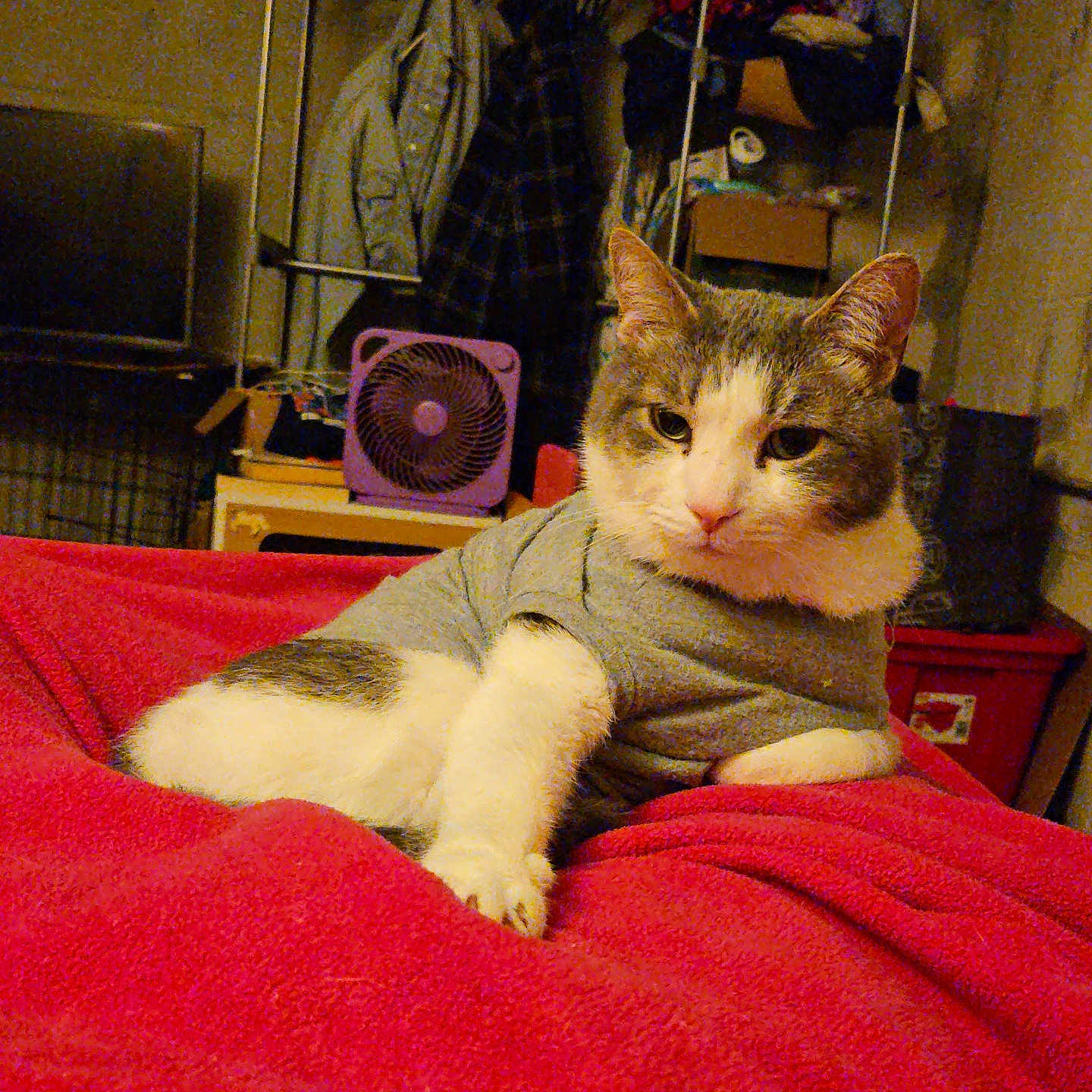 O'Malley