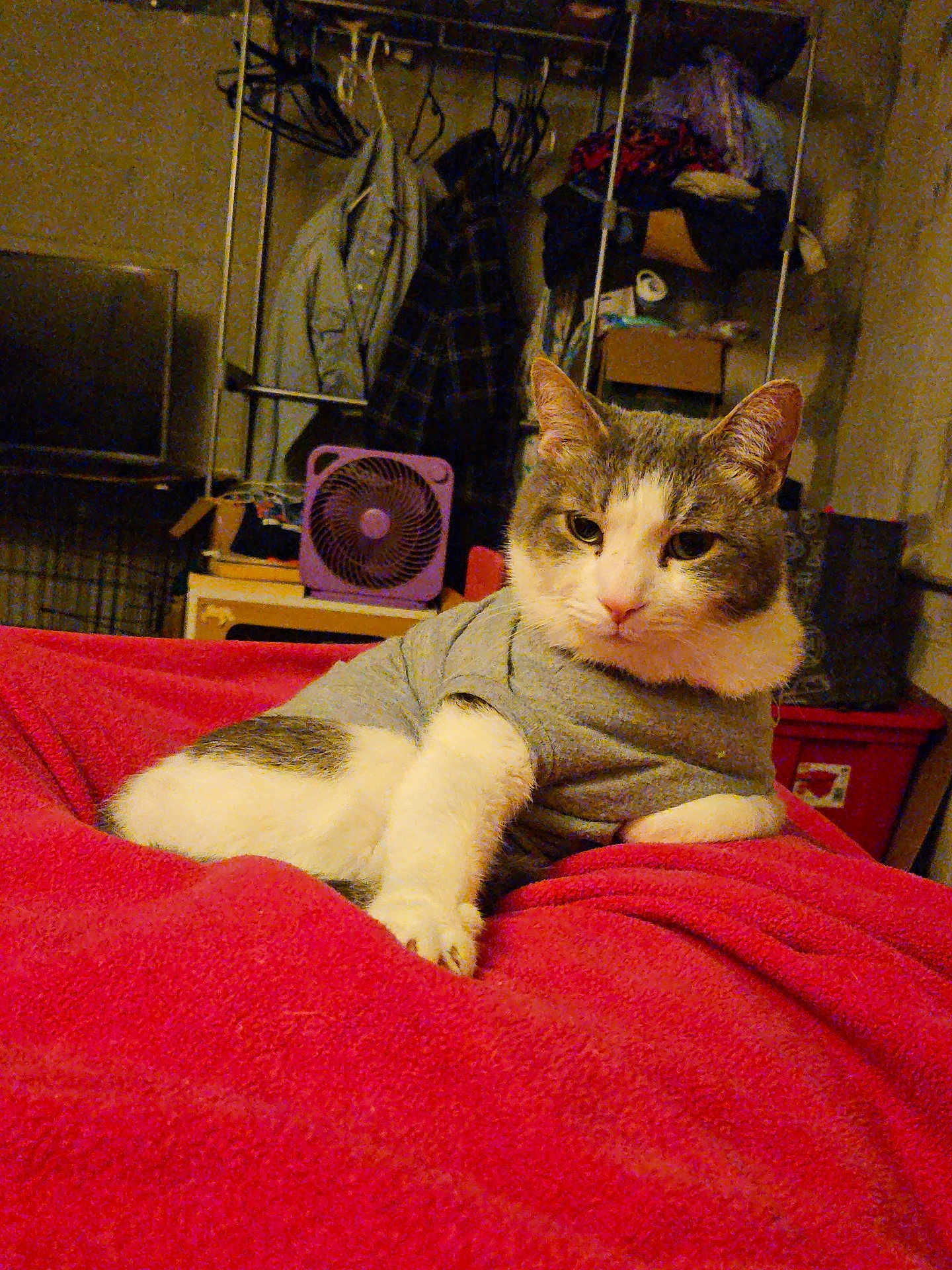 O'Malley