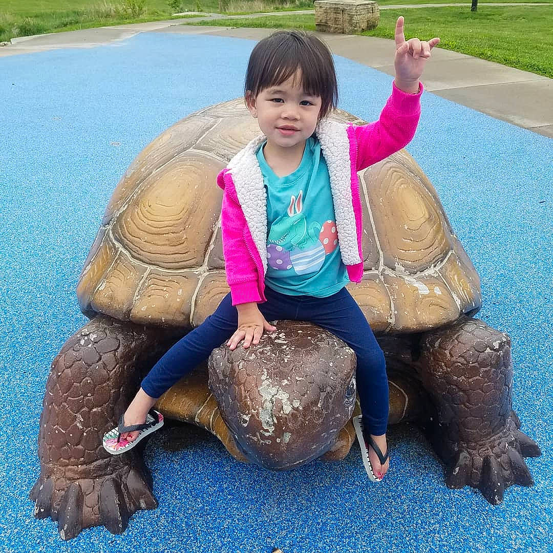 Aleia joined the competition — help win amazing prizes! box_turtle, chelonoidis, common_snapping_turtle, galapagos_tortoise, joy, person, pond_turtle, reptile, tortoise, turtle