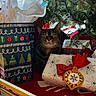 animal, cat, celebration, christmas_tree, cozy, curious, feline, festive, gift_box, holiday, holiday_decor, indoor, ornament, pet, pine_needles, present, red_bow, tabby_cat, wood_floor, wrapping_paper