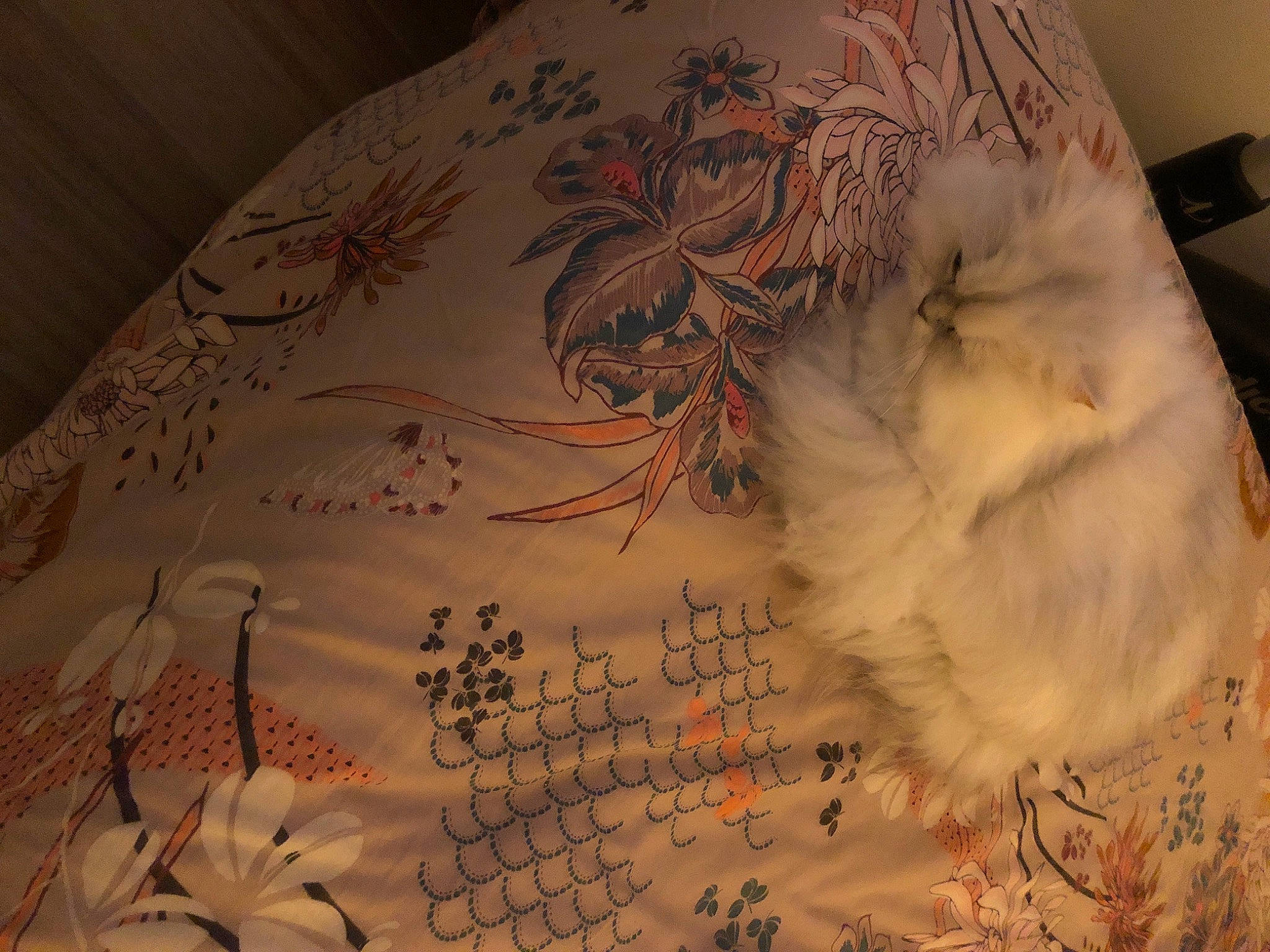 Riki a rejoint le concours — aidez-le/la à gagner de superbes lots ! art, fashion_accessory, feather, flesh, font, handwriting, ink, linens, needlework, paper, pattern, peach, room, sleeve, t_shirt, top, twig, visual_arts, wood, writing