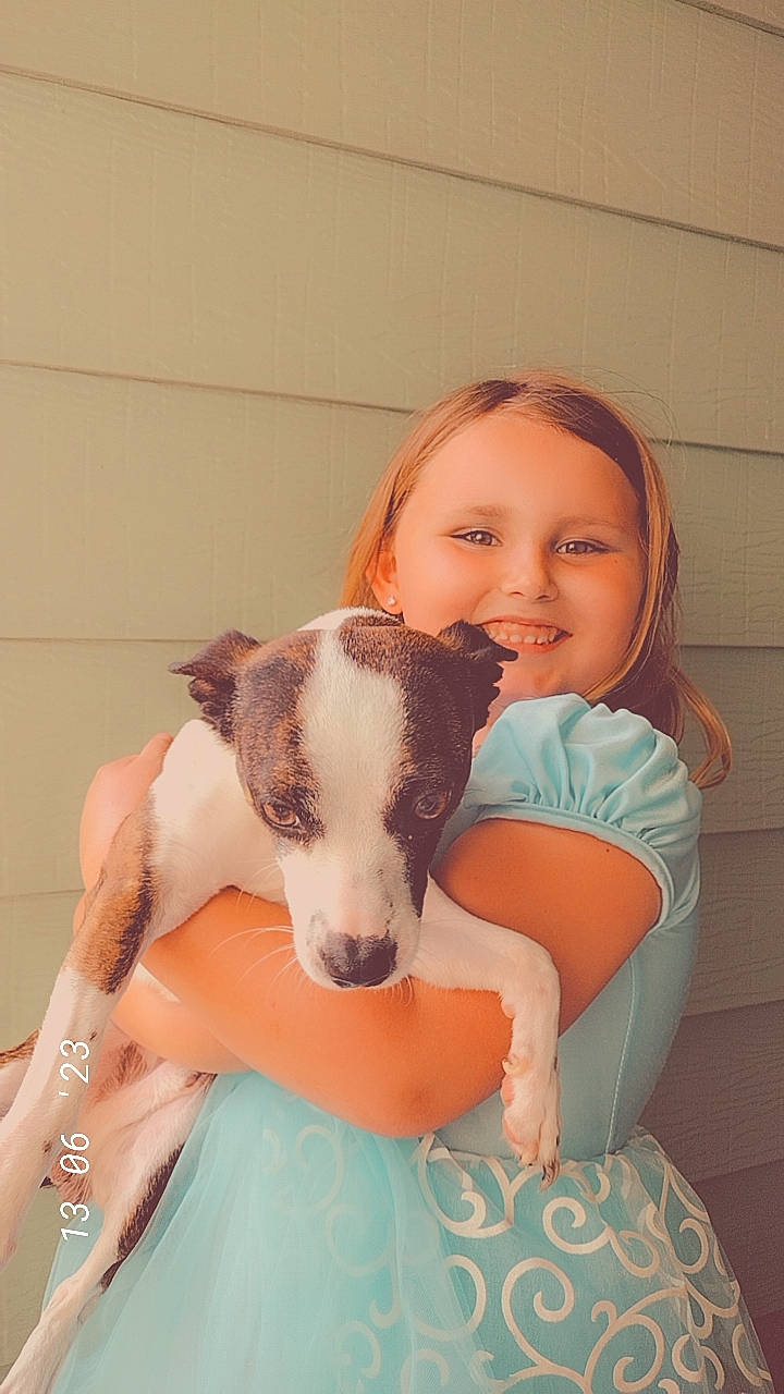 Adaline joined the competition — help win amazing prizes! canidae, carnivore, comfort, companion_dog, dog, dog_breed, ear, eye, fawn, fun, hair, happy, head, human_body, human_leg, joy, person, shoulder, smile, sporting_group