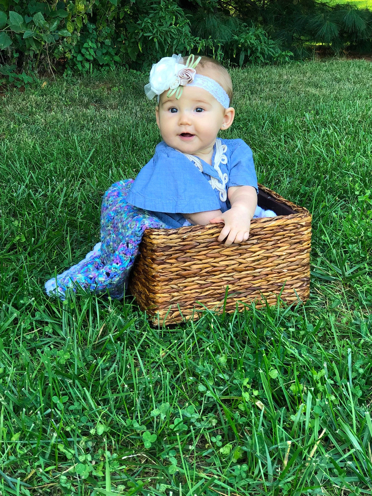 Emmarie joined the competition — help win amazing prizes! basket, child, grass, grass_family, home_accessories, meadow, person, picnic_basket, plant, toddler, wicker