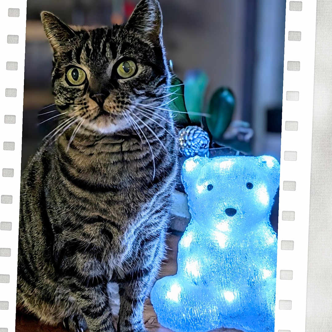 Milka