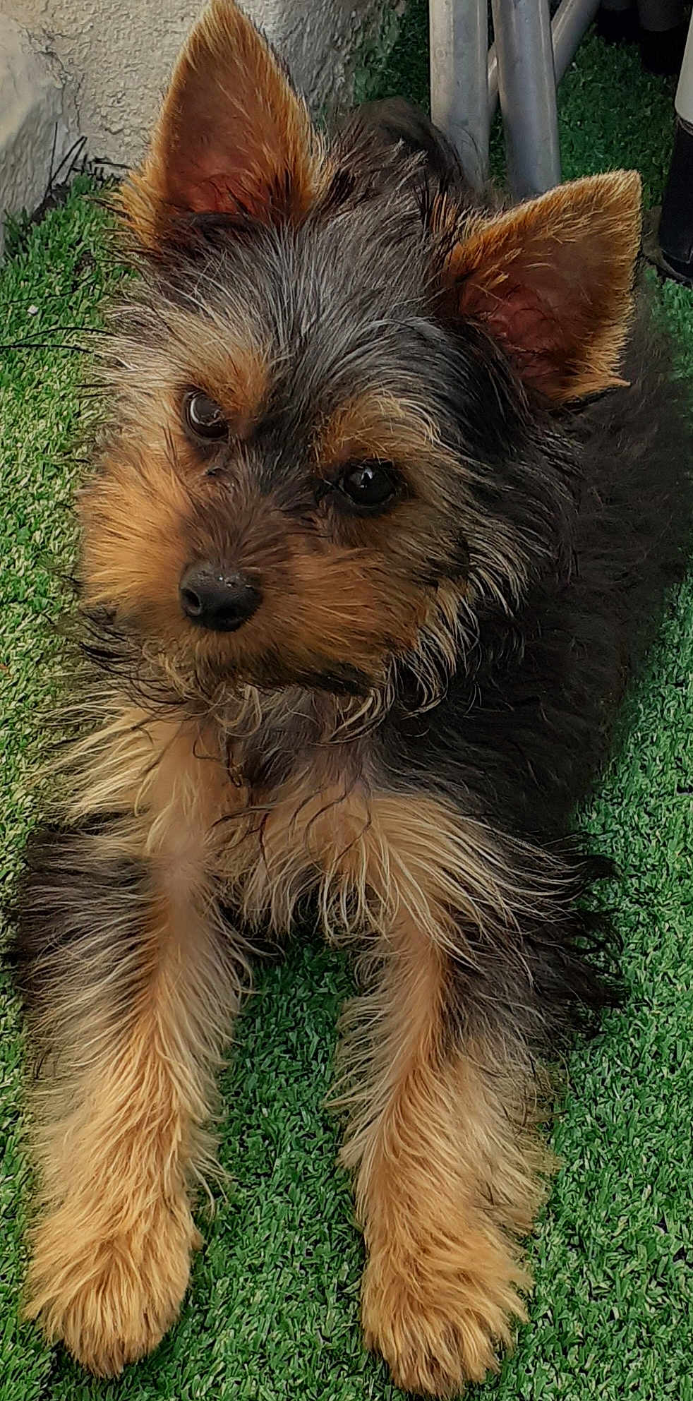 Max