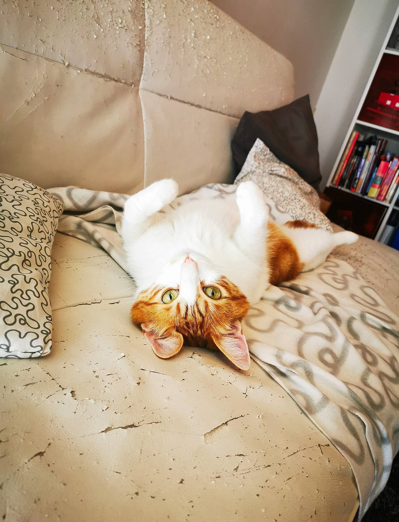 Kovou a rejoint le concours — aidez-le/la à gagner de superbes lots ! couch, furniture, interior_design, linens, room, textile