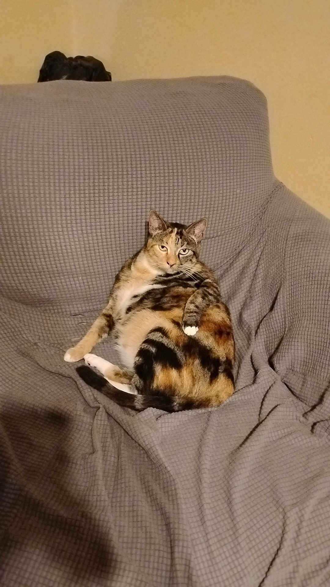 Lucy