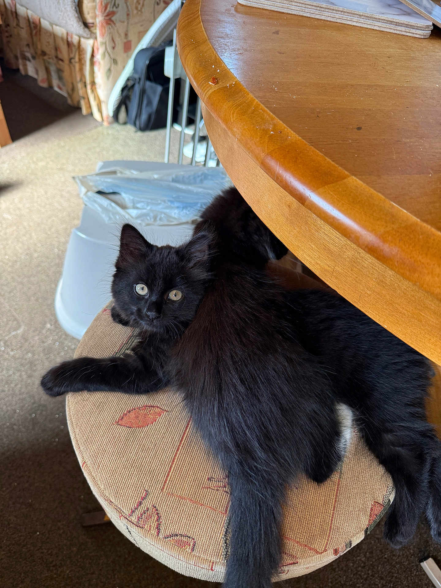 Luna