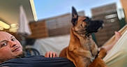 Ali participe au concours pour gagner de l'argent avec cette photo : man, dog, hammock, outdoor, relaxing, blue_sky, fence, pet, canine, beard, casual_clothing, summer, sunlight, backyard, companion, resting, portrait, leisure, animal, friendship
