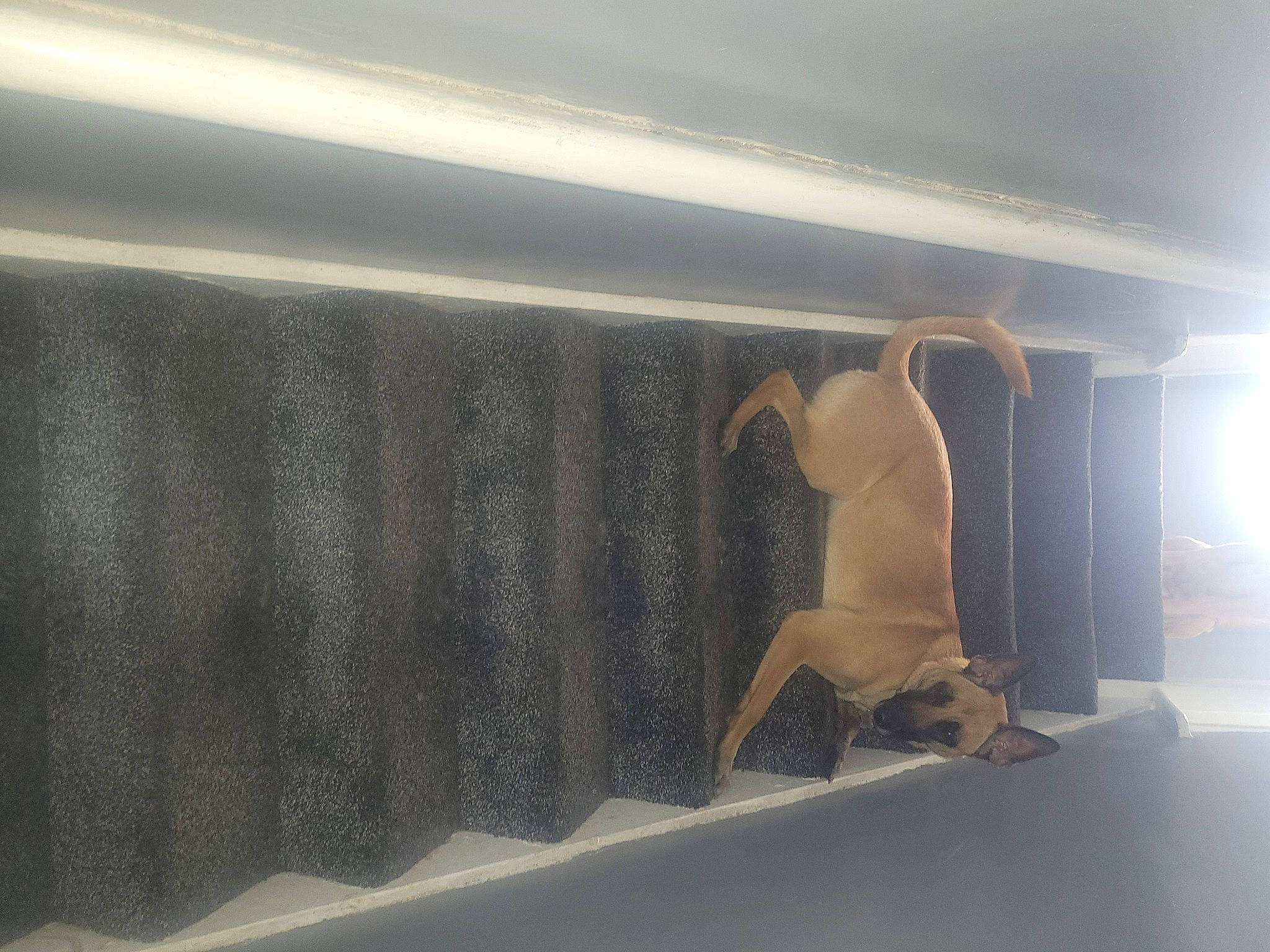 Zuki is registered to the contest to win money with this photo: art, auto_part, automotive_design, automotive_exterior, automotive_window_part, ceiling, daylighting, glass, luxury_vehicle, metal, plaster, room, shade, shadow, tints_and_shades, toy, vehicle_door, visual_arts, windshield, wood