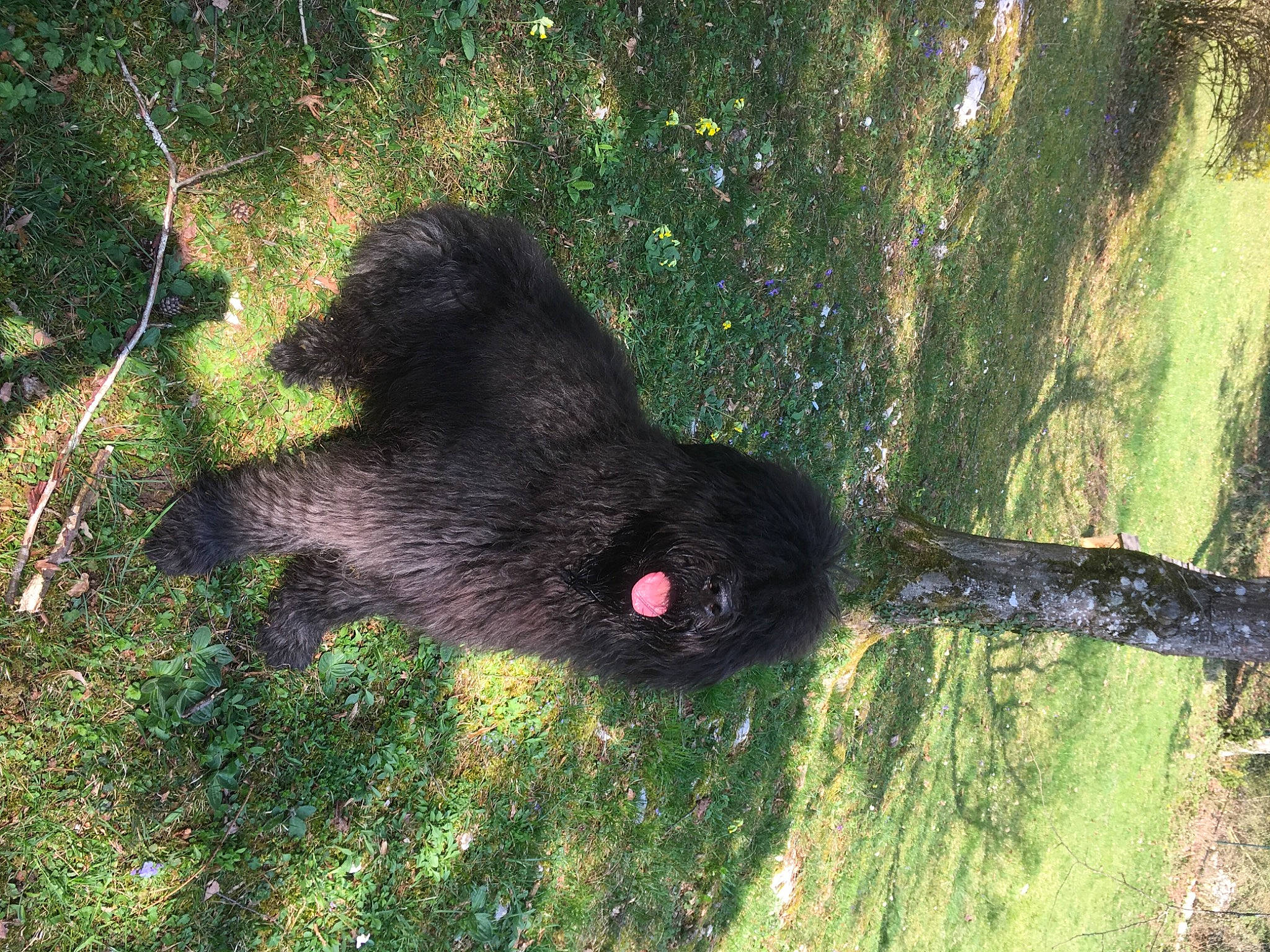 Malou participe au concours pour gagner de l'argent avec cette photo :