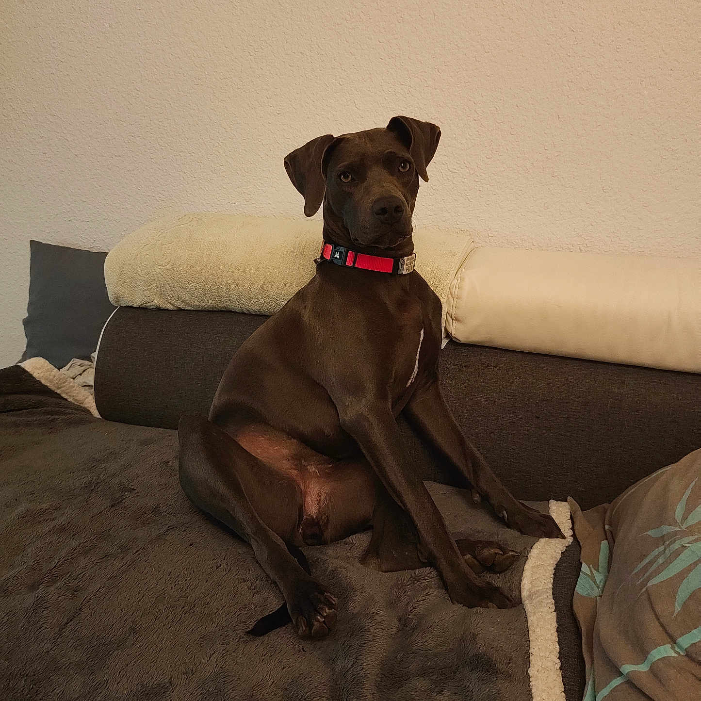 Kyra