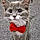 Mittens