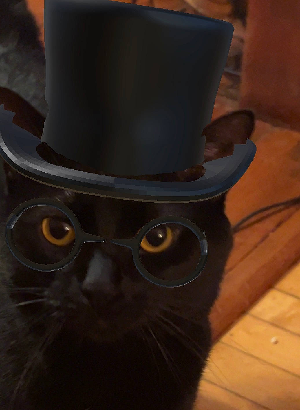 Lynx is registered to the contest to win money with this photo: bowler_hat, cap, carnivore, cat, costume_hat, electric_blue, fashion_accessory, fedora, felidae, fur, hardwood, hat, headgear, personal_protective_equipment, small_to_medium_sized_cats, sun_hat, tile_flooring, varnish, whiskers, wood