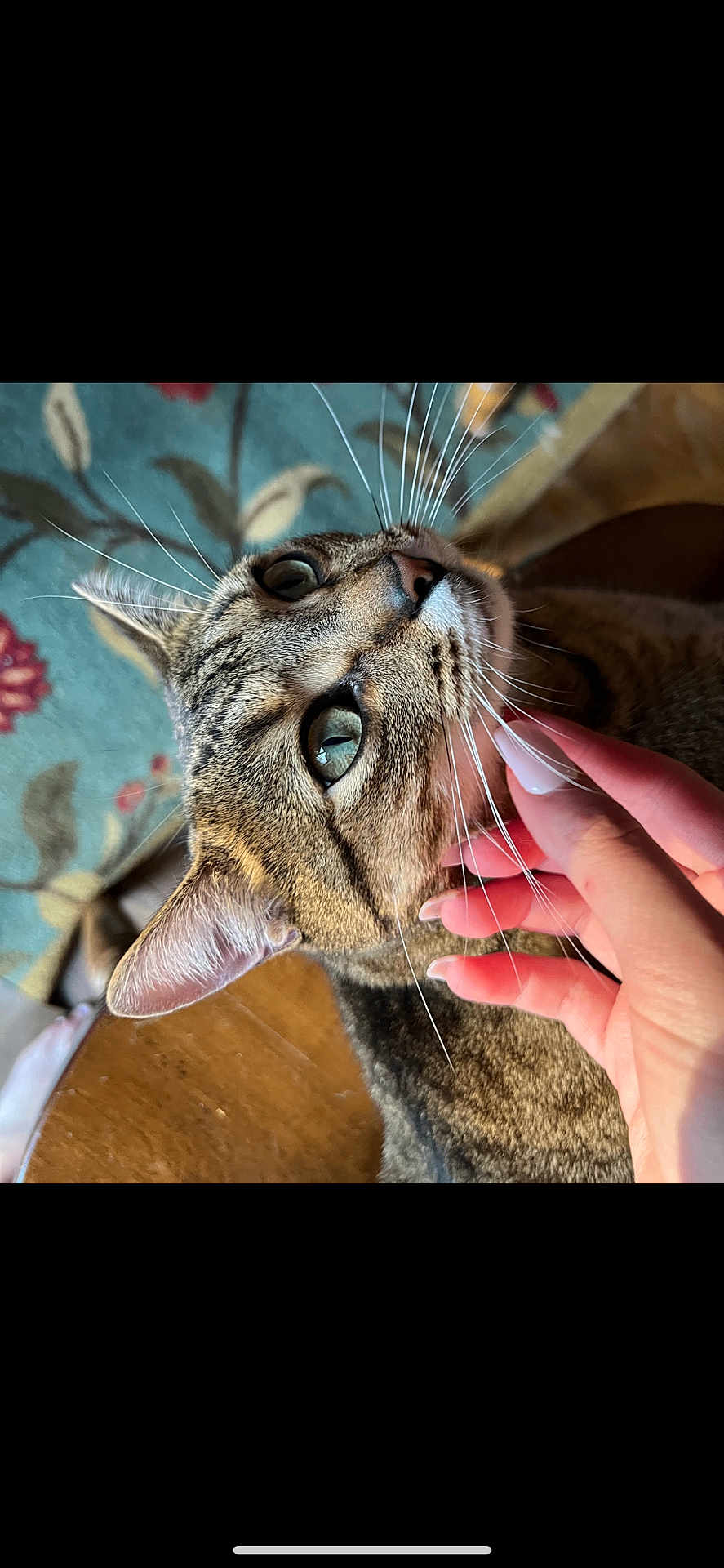 Simba