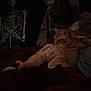 animal, blanket, cat, comfort, cozy, dark, decor, furniture, home, indoor, lamp, lying_down, orange_cat, person_hand, pet, poster, relaxing, resting, skeleton, wall
