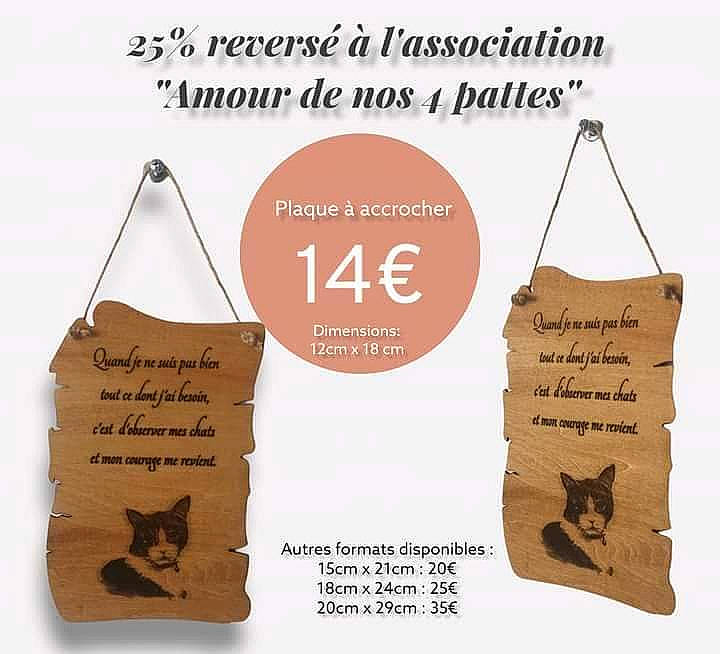 Tao participe au concours pour gagner de l'argent avec cette photo : advertising, bat, brand, brown, circle, fashion_accessory, fashion_design, fawn, font, graphic_design, graphics, illustration, logo, mammal, peach, signage, sleeve, soil, triangle, wood