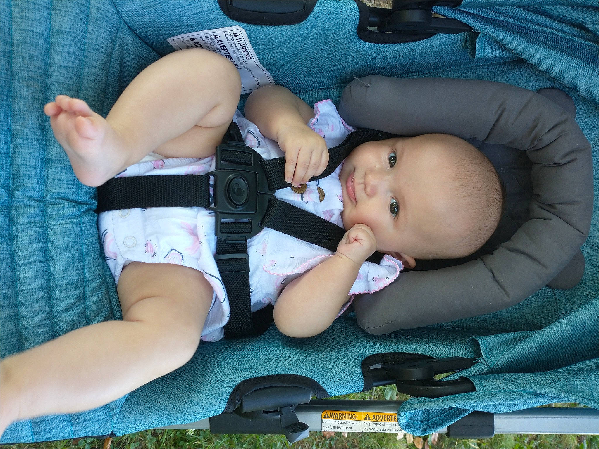 Faith joined the competition — help win amazing prizes! arm, baby, baby_carriage, baby_products, baby_toddler_clothing, blue, cheek, comfort, eye, finger, grass, hand, head, human_body, lap, leg, mouth, person, skin, thigh