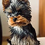 adorable, animal, black_and_tan, canine, companion, curious, cute, dog, ears, fluffy, fur, indoor, pet, portrait, puppy, sitting, small_dog, white_cushion, yorkshire_terrier, young_dog