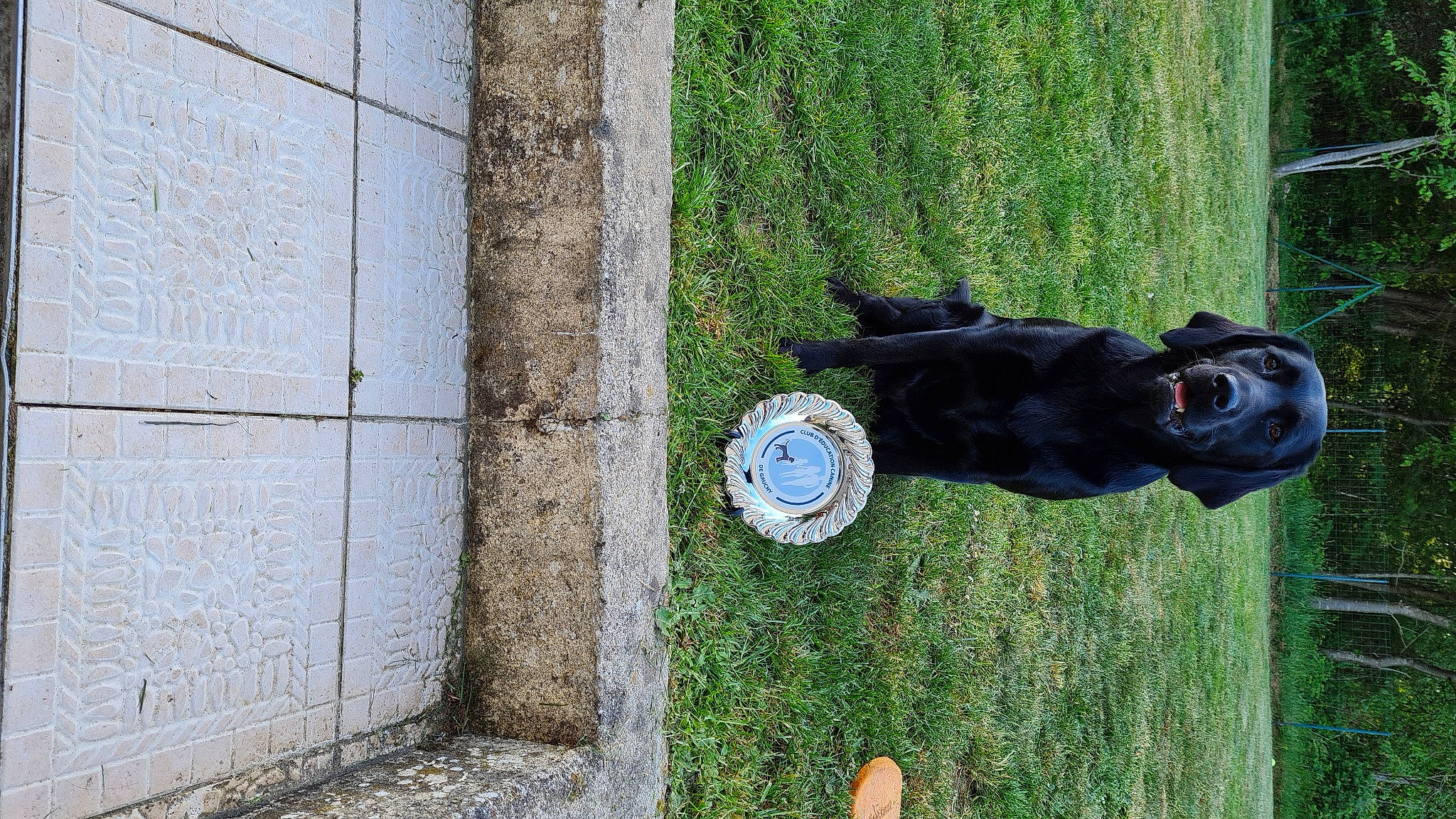 Pearl a rejoint le concours — aidez-le/la à gagner de superbes lots ! auto_part, automotive_tire, automotive_wheel_system, clock, electric_blue, garden, grass, hat, leisure, personal_protective_equipment, plant, recreation, road_surface, shadow, shrub, soil, toy, tree, water, wood