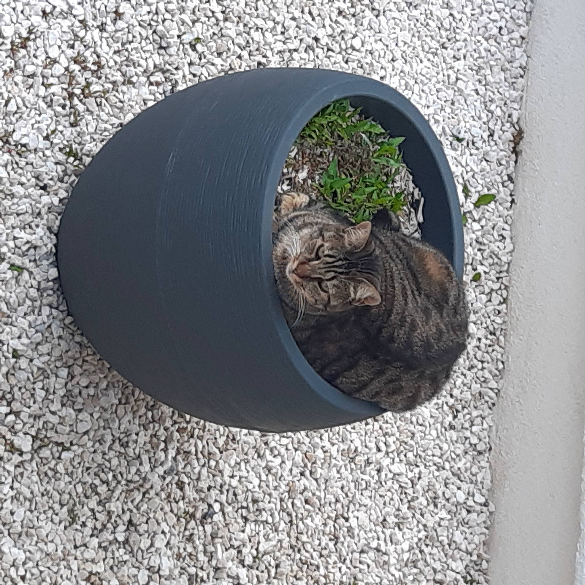 Fripouille a rejoint le concours — aidez-le/la à gagner de superbes lots ! art, asphalt, automotive_tire, automotive_wheel_system, carnivore, cat, circle, concrete, felidae, grass, metal, plant, road_surface, sculpture, small_to_medium_sized_cats, soil, tar, terrestrial_animal, tints_and_shades, tree