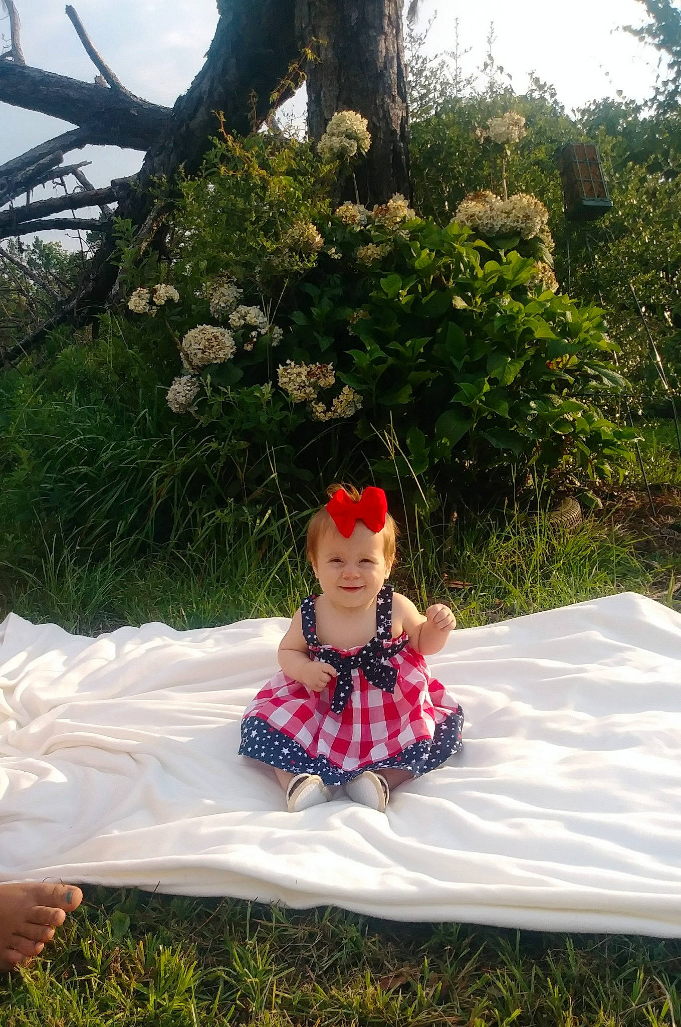 Regina joined the competition — help win amazing prizes! botany, costume, dress, flower, grass, leisure, person, plant, red, shrub, sitting, tourism, tree, vacation