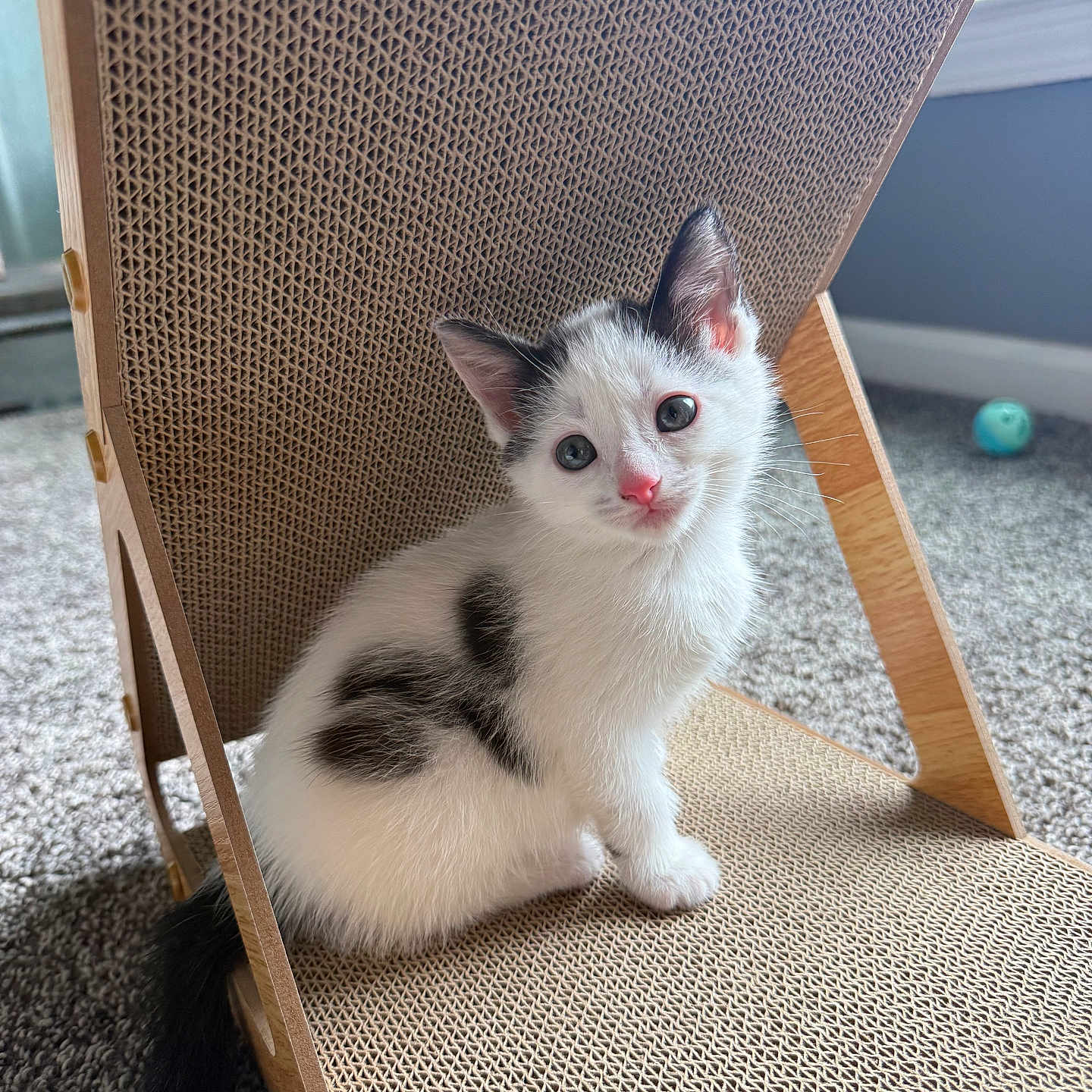 Mila