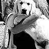 affection, animal, arms, black_and_white, canine, close_up, companion, curly_hair, cute, dog, friendly, fur, holding, outdoor, person, pet, portrait, puppy, tote_bag, young_dog