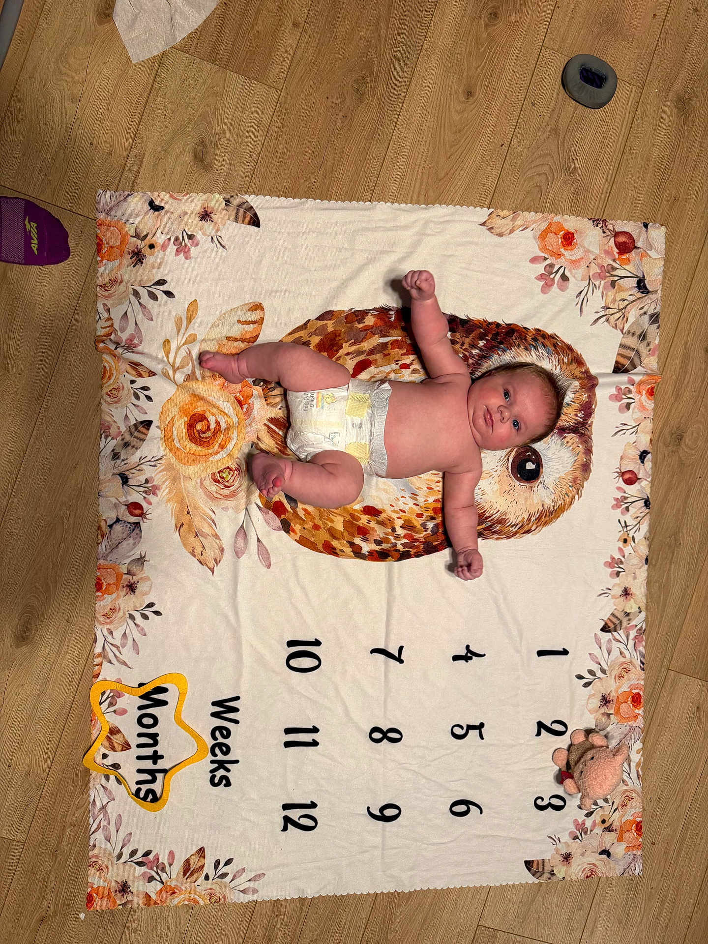 Andrew is registered to the contest to win money with this photo: baby, infant, newborn, diaper, milestone_blanket, owl_print, floral_pattern, hardwood_floor, plush_toy, numbers, lying_down, bare_torso, face, eyes_open, feet, arms, sock, nursery_item, photography, cute