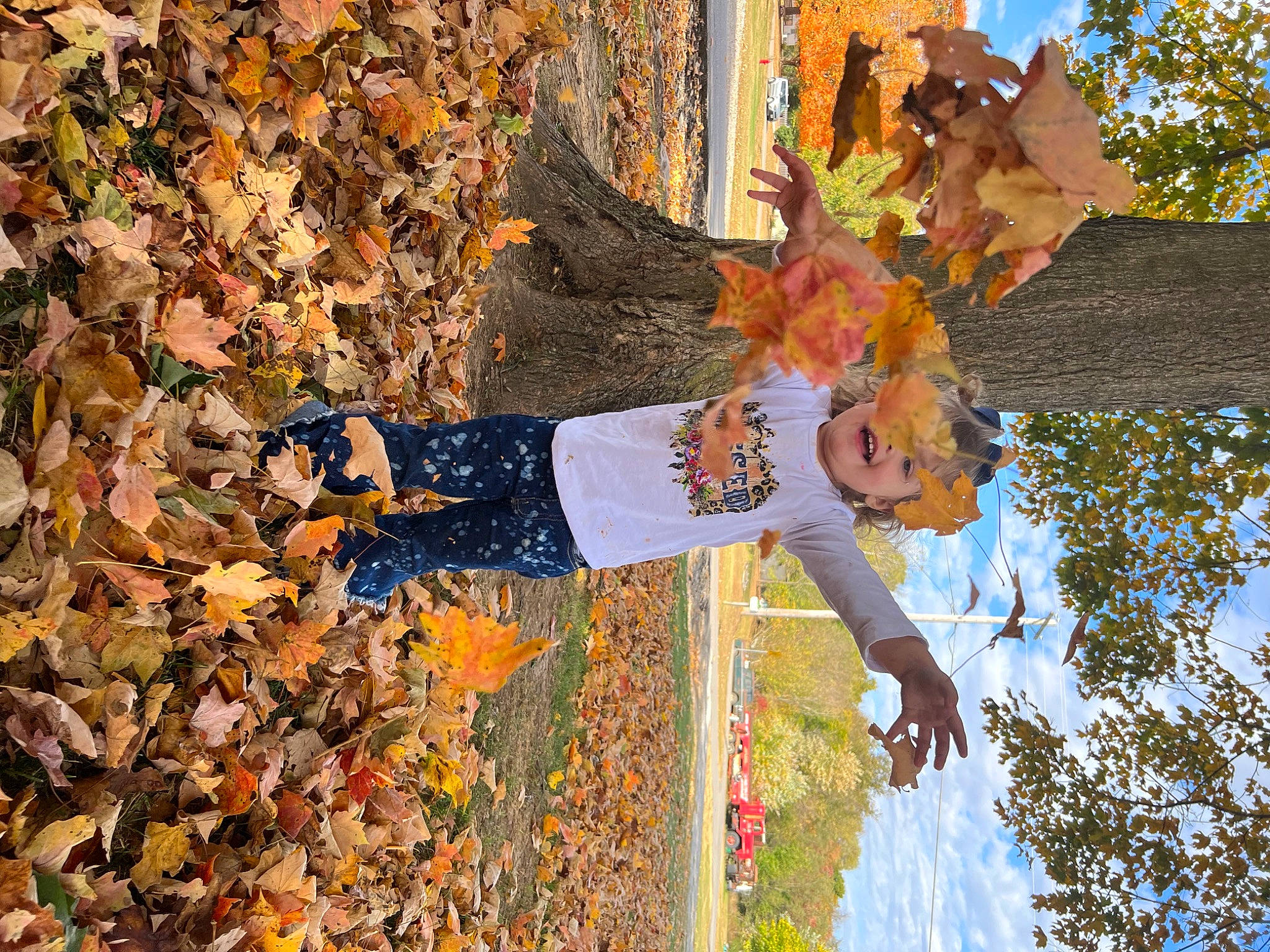 Georgia joined the competition — help win amazing prizes! art, branch, daytime, deciduous, design, grass, happy, leaf, organism, people_in_nature, person, plant, reflection, sky, tree, trunk, twig, wall, wood, woody_plant