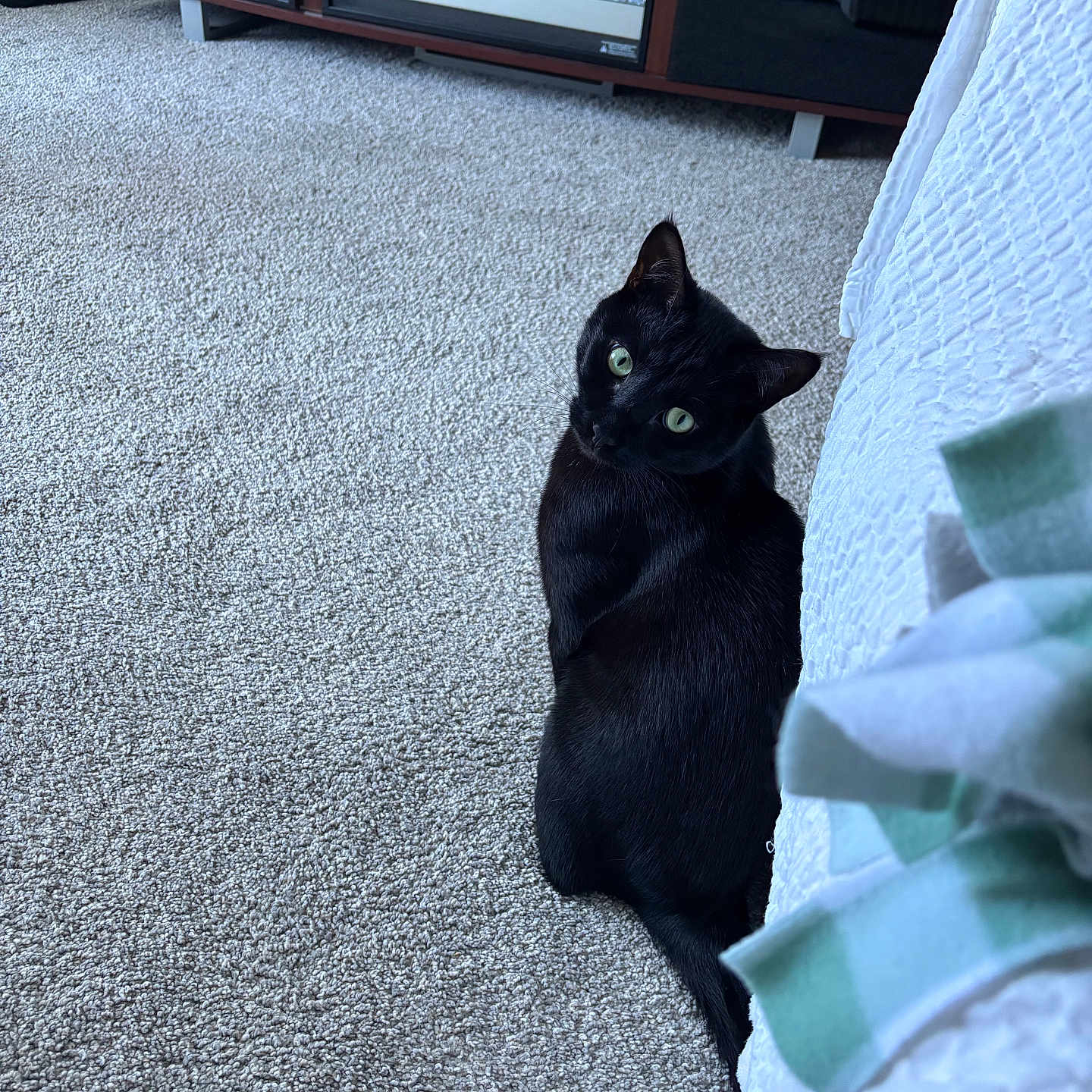 Salem