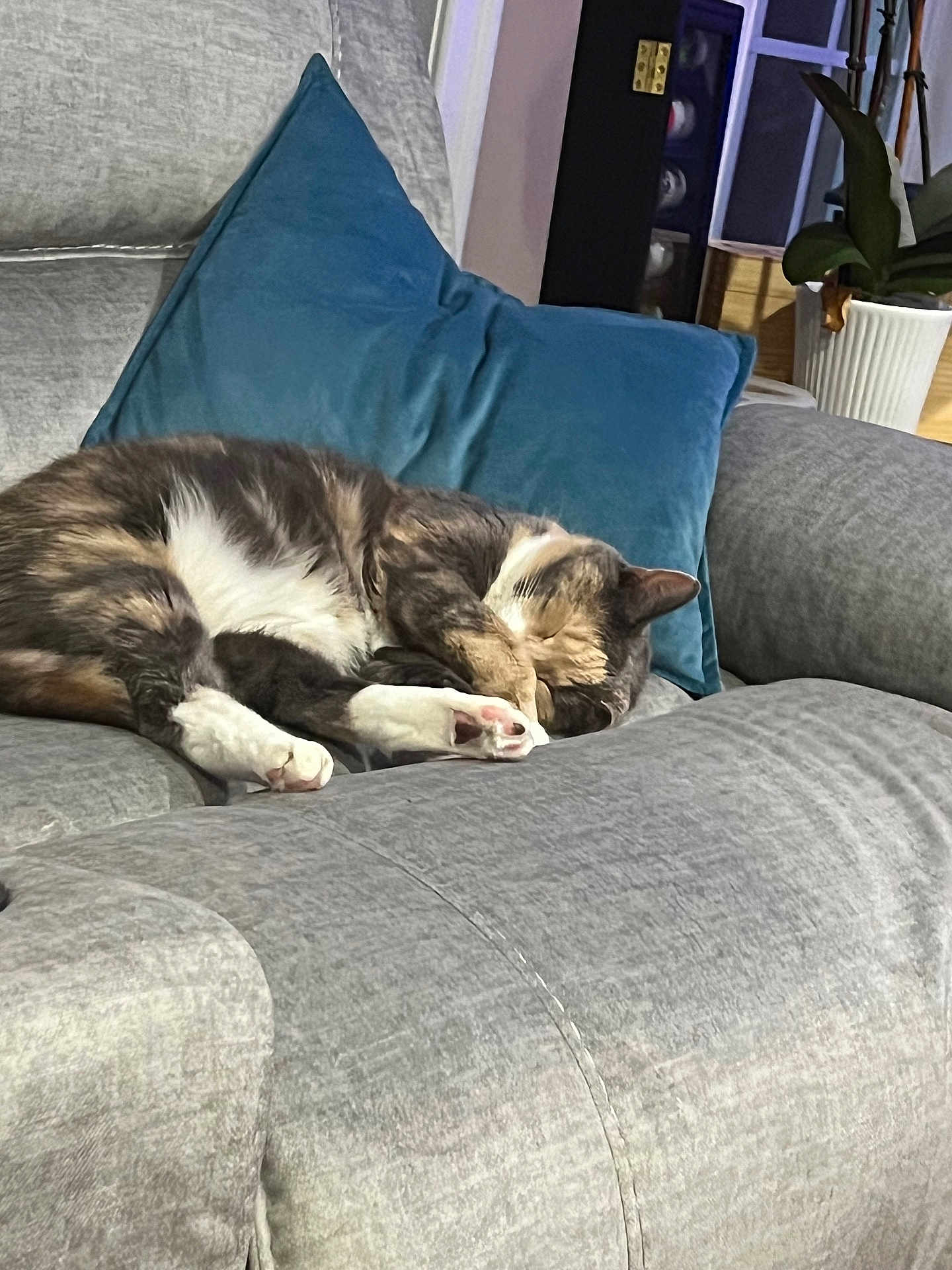Luna