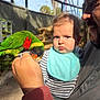 baby, adult, parrot, bird, hand, face, expression, outdoor, aviary, natural_light, striped_clothing, bib, green_feathers, red_feathers, orange_beak, holding, curious, shadow, person, closeup