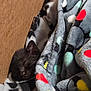Ember joined the competition — help win amazing prizes! kitten, black_cat, sleeping, blanket, cozy, soft, fleece, colorful, patterned, resting, cute, pet, animal, indoor, comfort, small, fur, relaxation, young, nestled