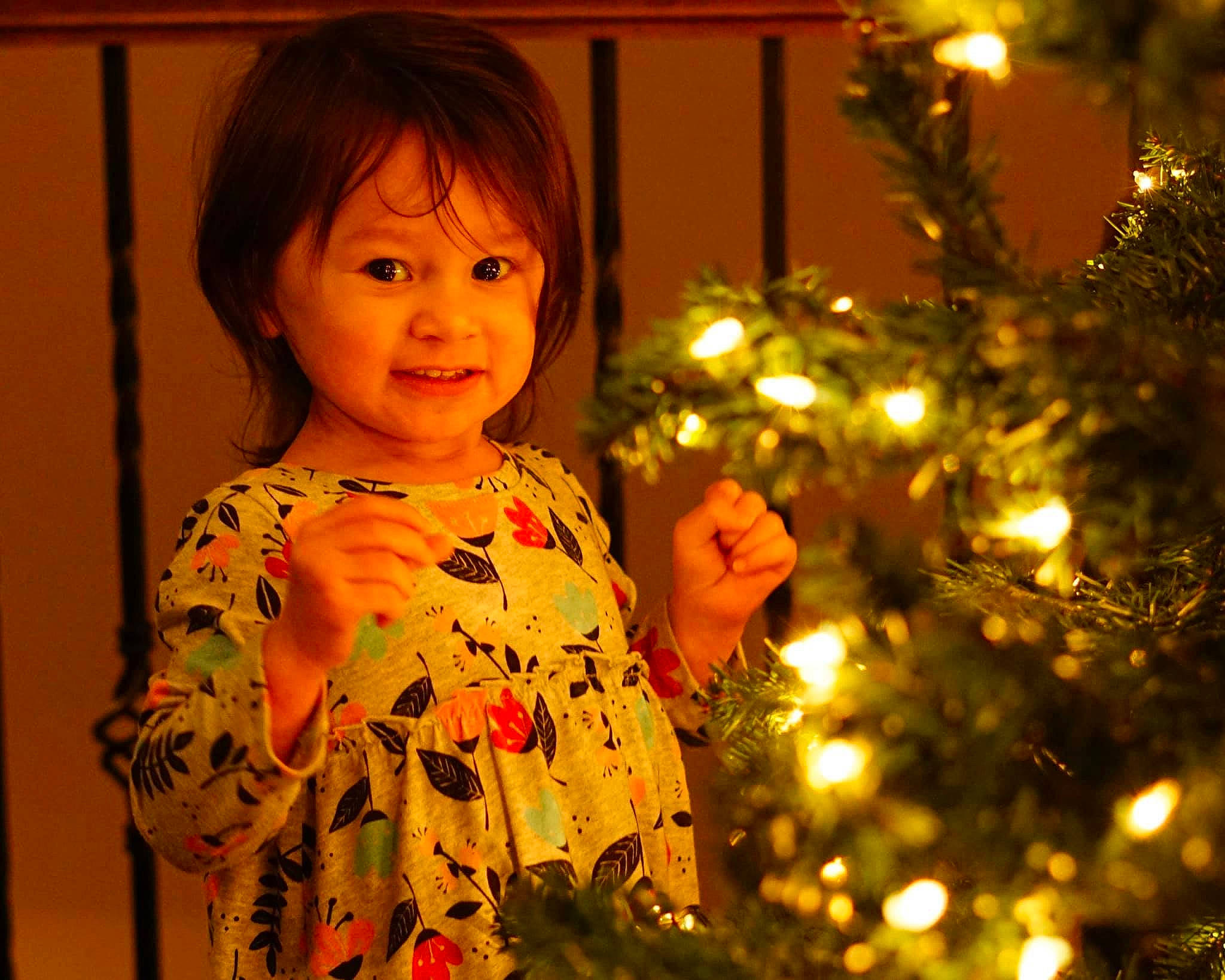 Kennedi is registered to the contest to win money with this photo: child, christmas, christmas_decoration, christmas_eve, christmas_lights, christmas_ornament, christmas_tree, holiday, interior_design, joy, person, plant, smile, toddler, tradition, tree