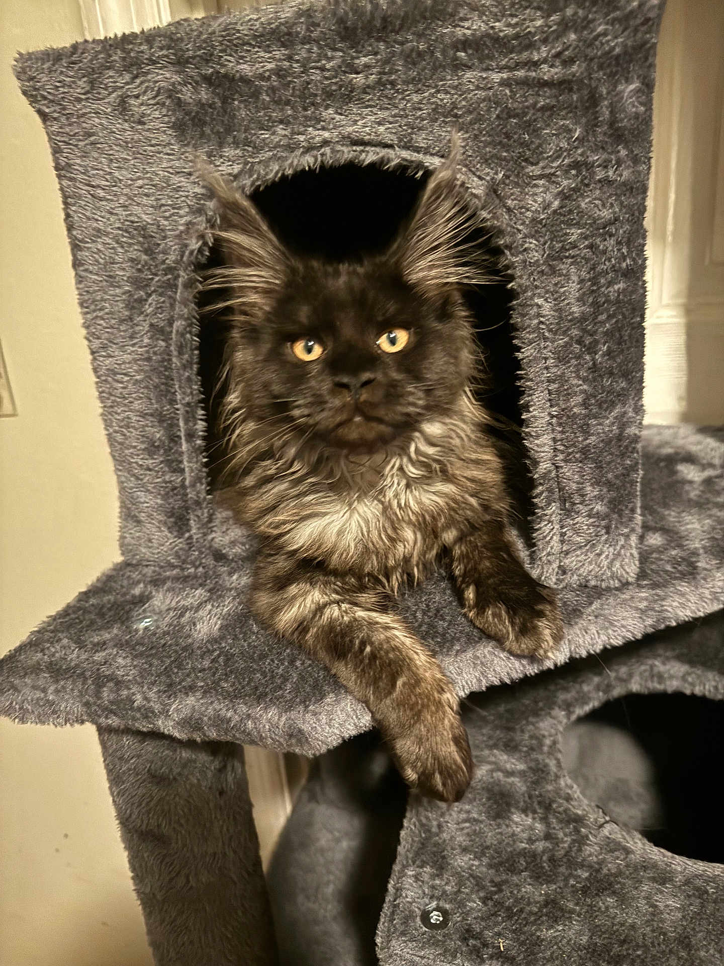 Stormy