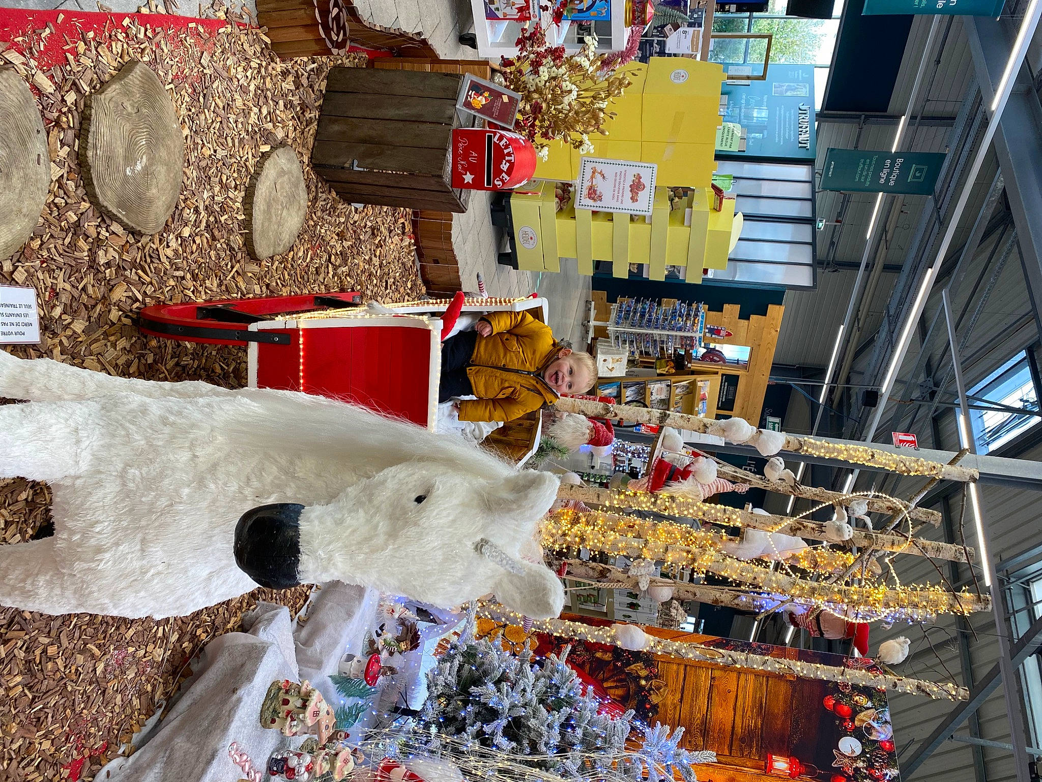 Djulian a rejoint le concours — aidez-le/la à gagner de superbes lots ! art, carmine, city, engineering, event, fur, human_settlement, market, marketplace, person, plastic, retail, room, textile, toy, urban_design, winter, wood, world